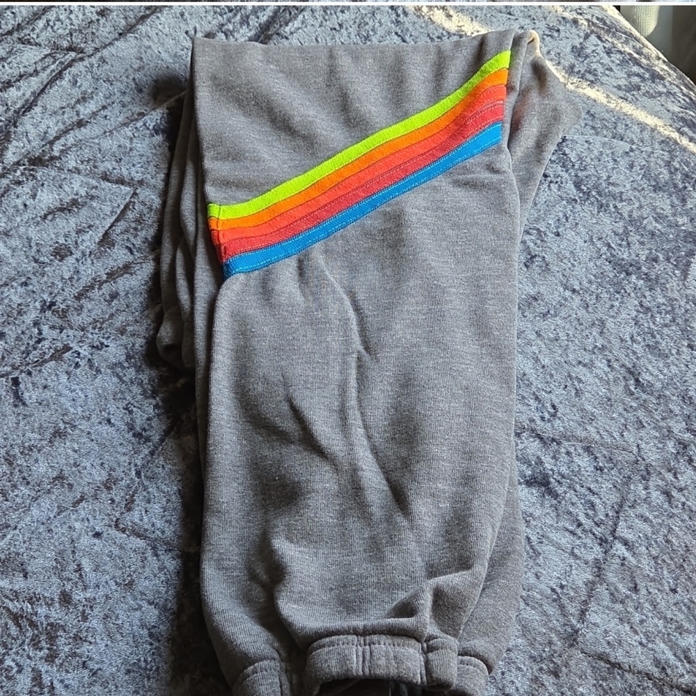 Avaitor Nation Gray Sweatpants with Neon Stripes - Picture 4 of 7